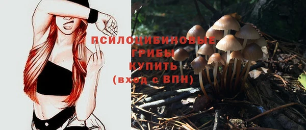 меф Белокуриха