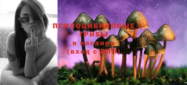эйфоретик Богородицк