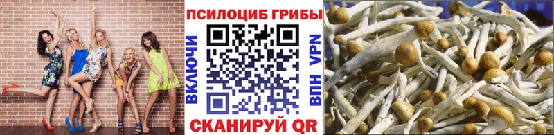 сколько стоит  Вельск  Галлюциногенные грибы прущие грибы 